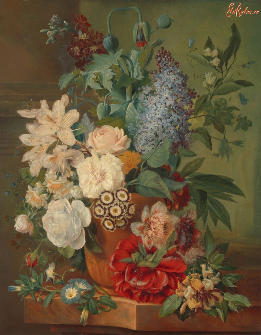 Картины - Цветы в терракотовой вазе