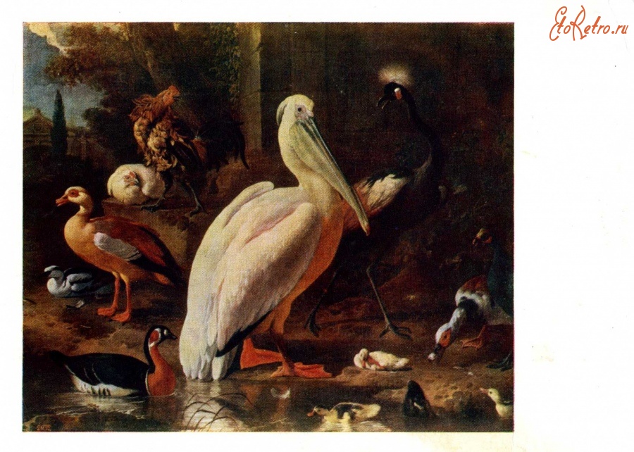 Картины - Мельхиор де Гондекутер (1636 - 1695). Птичий двор.