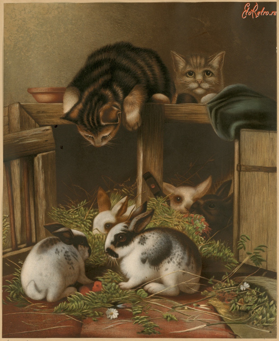 Картины - Котята и кролики