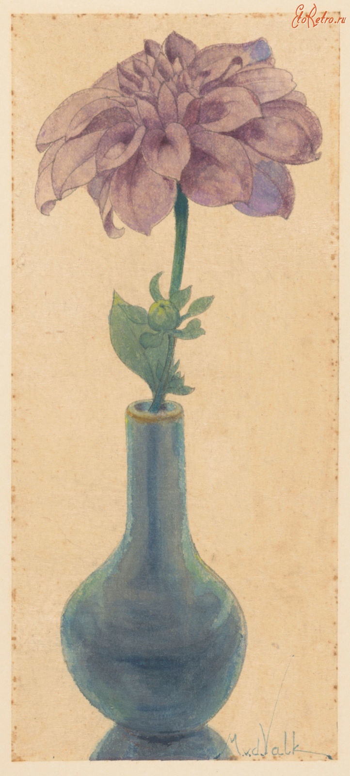 Картины - Светло-фиолетовый георгин в голубой вазе вазе