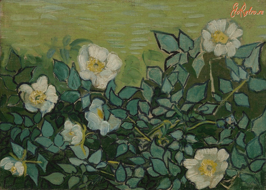 Картины - Винсент Ван Гог. Дикие розы. Шиповник