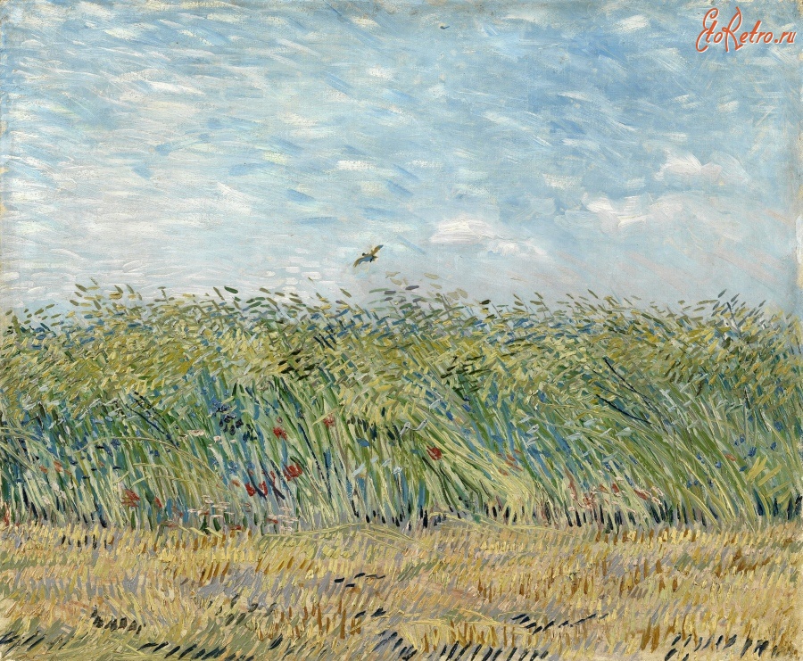 Картины - Винсент Ван Гог. Пшеничное поле с куропаткой