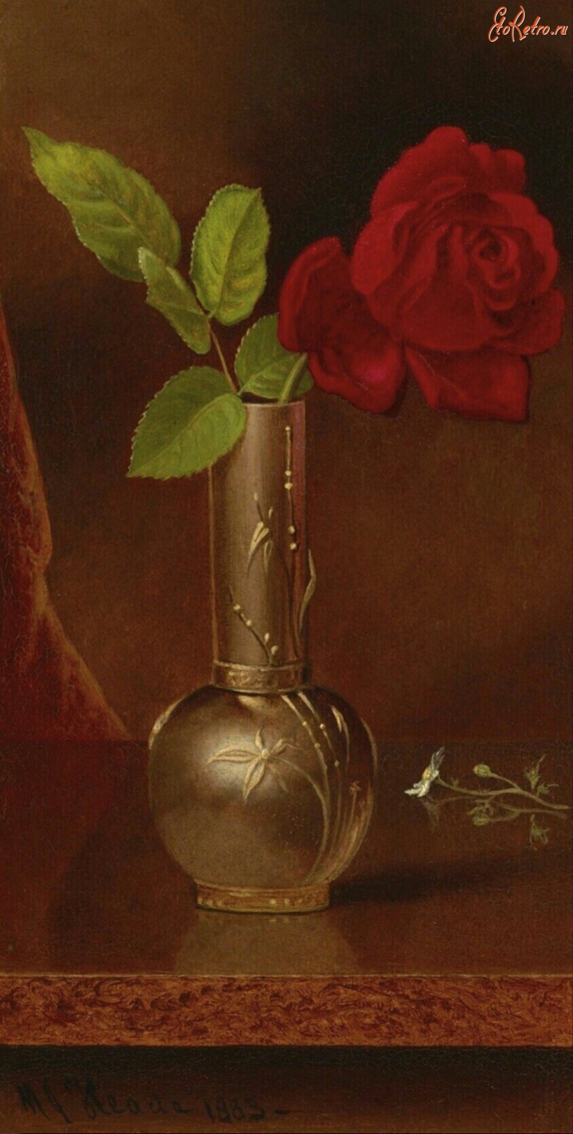 Картины - Мартин Джонс Хид. Красная роза в вазе