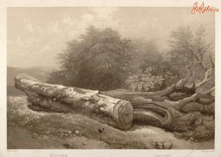 Картины - Этюд с поваленным деревом