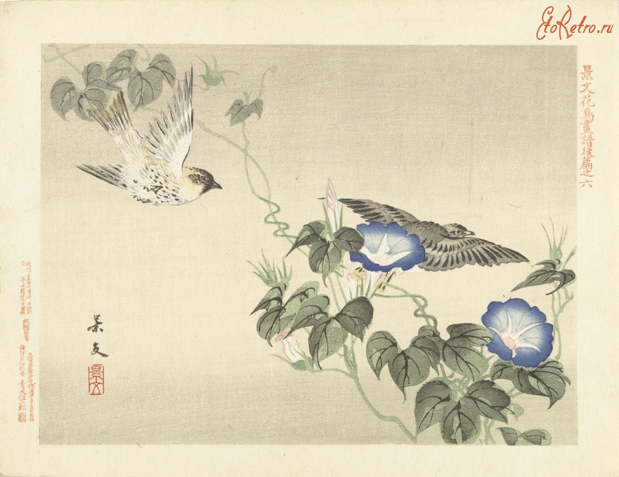 Картины - Две птицы над голубыми цветами