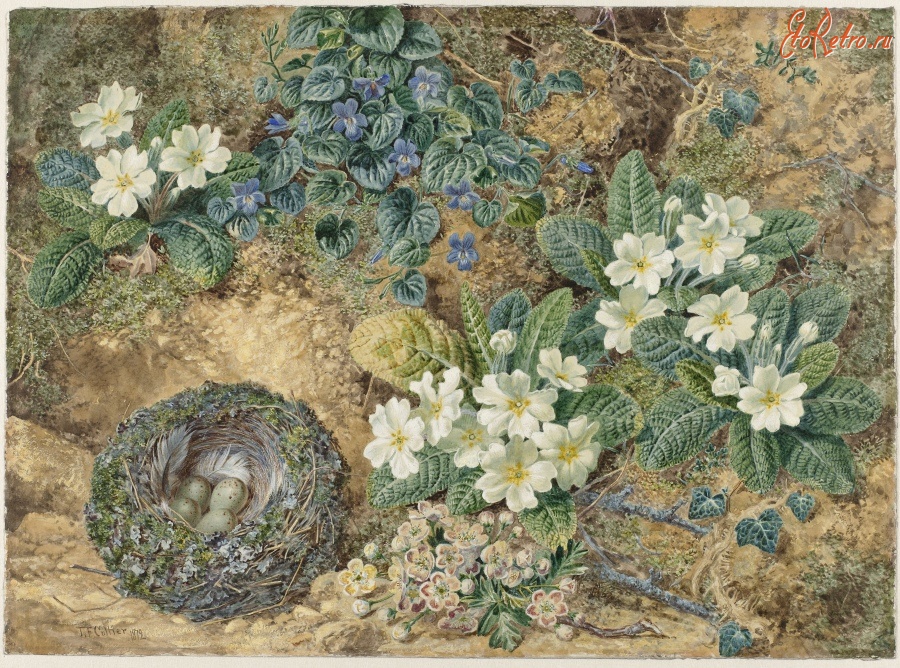 Картины - Натюрморт с птичьим гнездом и первоцветами