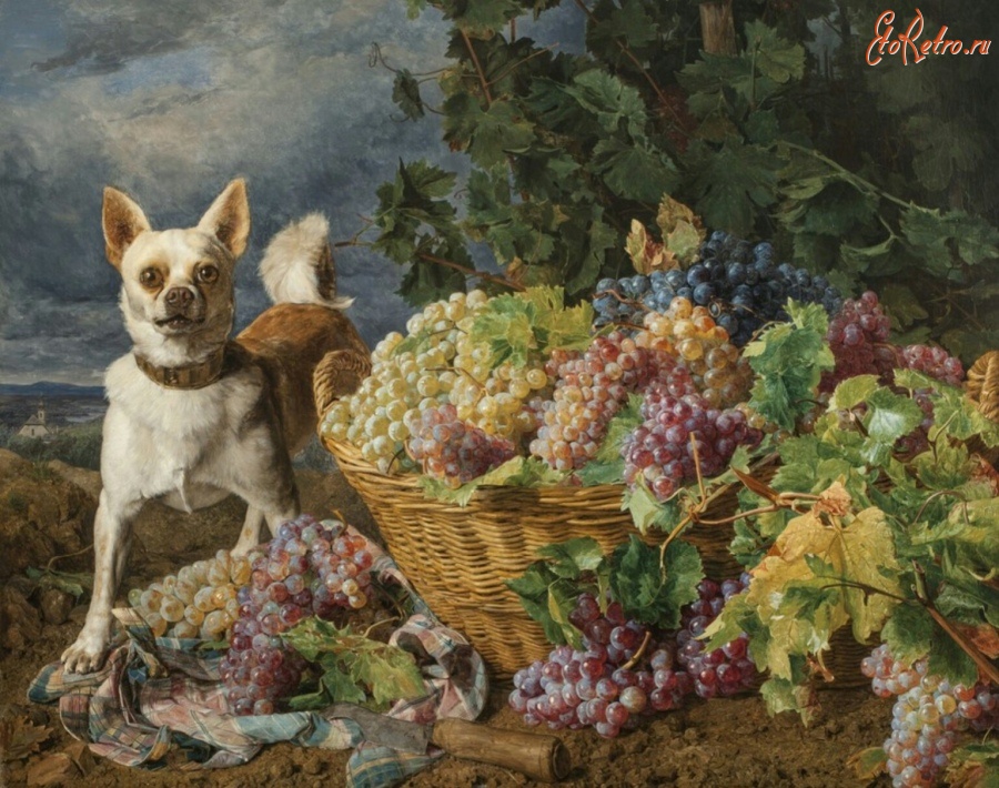 Картины - Собака , охраняющая корзину с виноградом