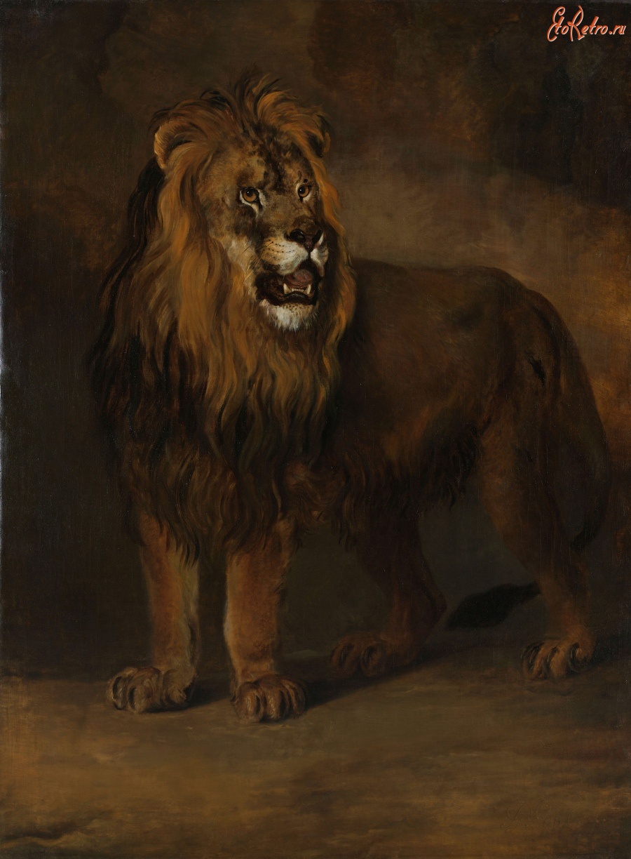 Картины - Лев из зверинца Луи Наполеона