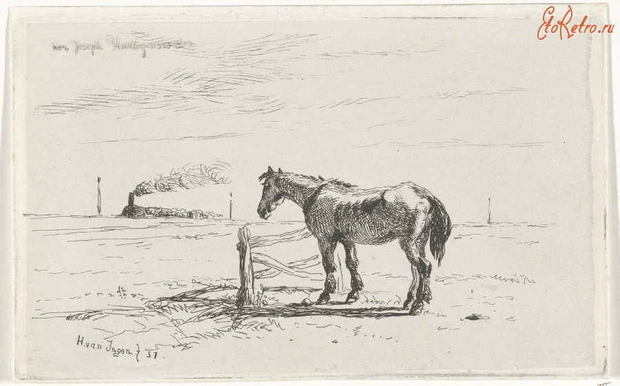 Картины - Железная дорога и лошадь на пастбище