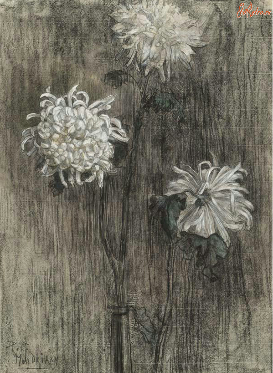 Картины - Пит Мондриан, Три хризантемы