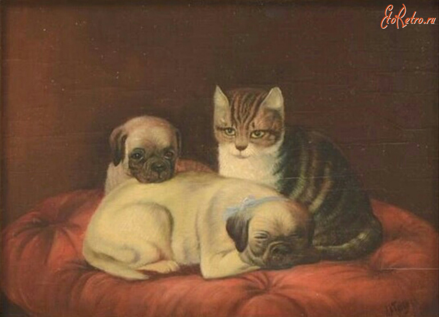 Картины - Августа Талбойс, Два мопса и кошка