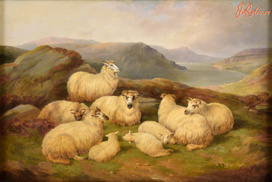 Картины - Ричард Ансдейл. Стадо овец на озере Хайленд