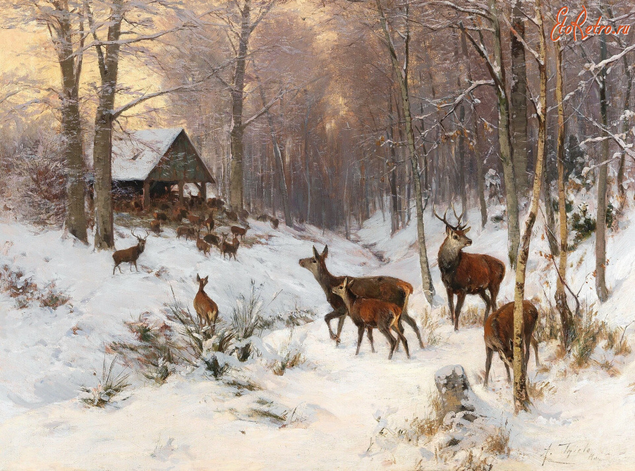 Картины - Артур Тиле. Благородные олени у кормушки зимой