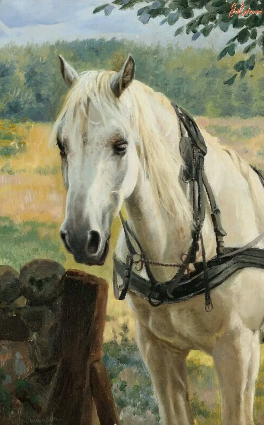 Картины - Симон Симонсен. Белая лошадь у изгороди