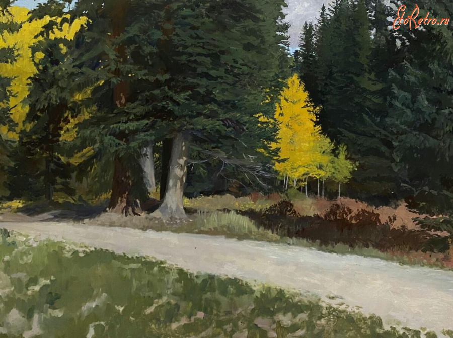 Картины - Рэйчел Персонет. Дорога в лесу. Монро-Роуд в Брекенбридже, Колорадо