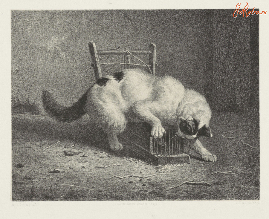 Картины - Бернард Гемпт. Кот и мышь в мышеловке