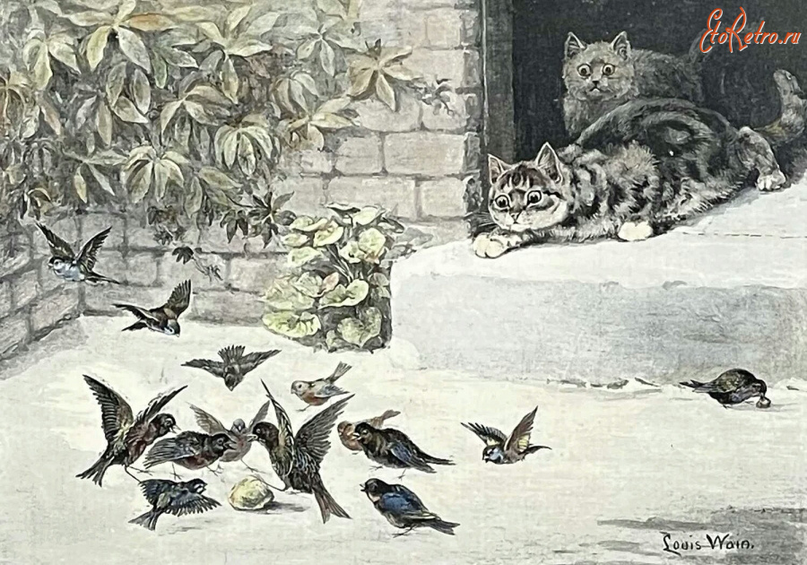 Картины - Луи Уэйн. Кошки и садовые птицы