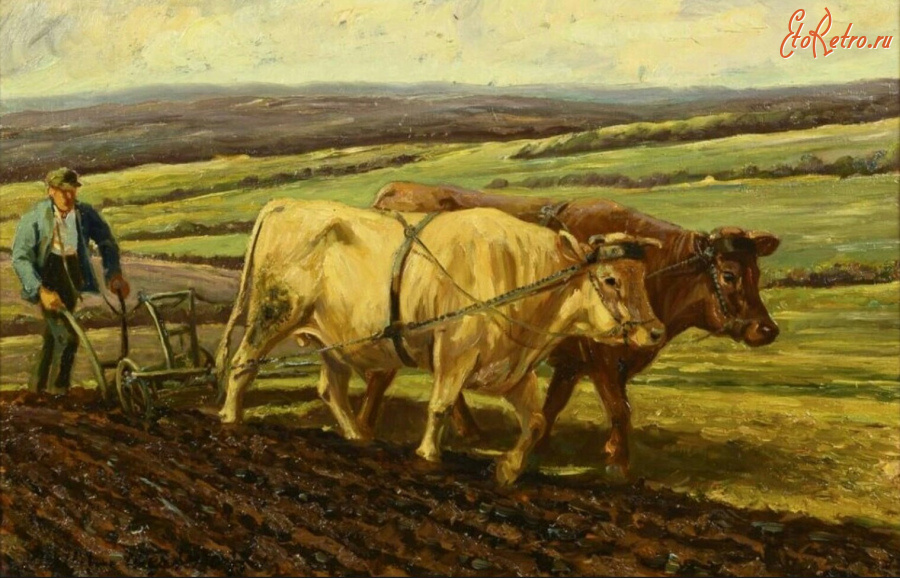 Картины - Вильгельм Вестероп. Фермер на пашне
