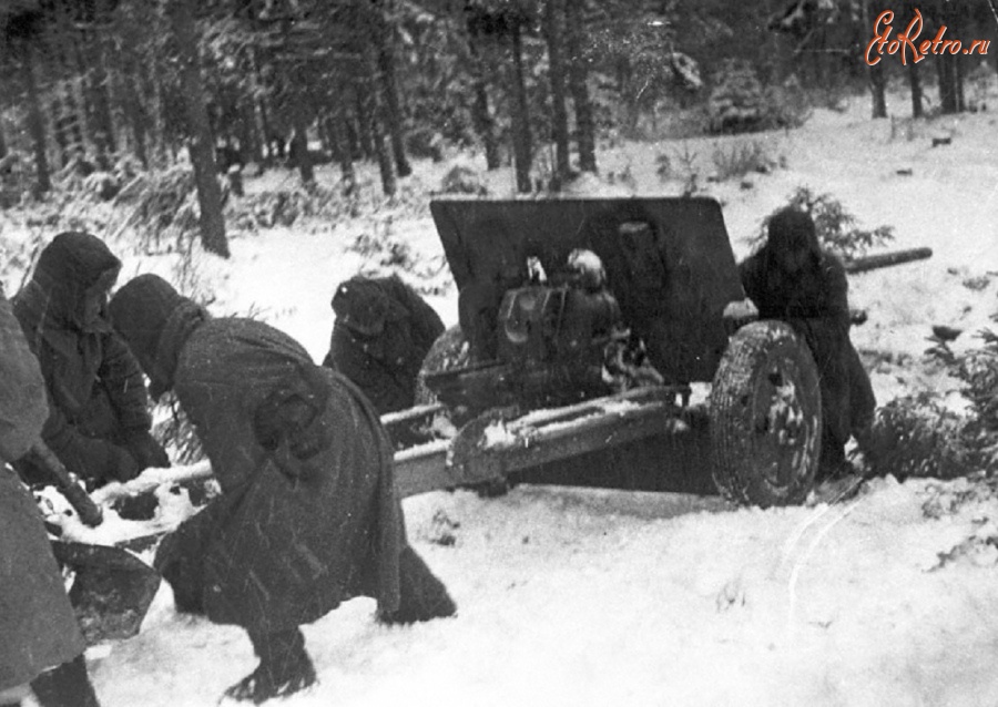 Московская область - Установка противотанкового орудия командира Панышева на огневой позиции.