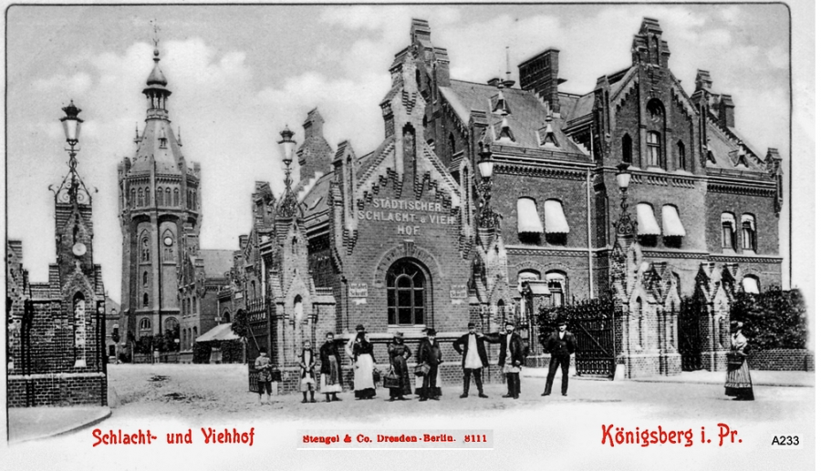 Калининград - Скотные дворы и бойни в Розенау. 1901 год