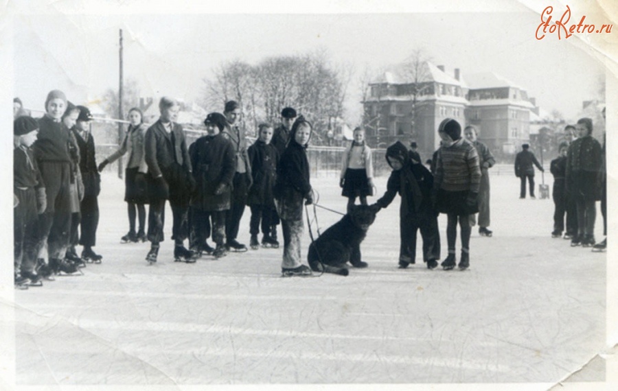 Калининград - Keonigsberg (Pr.), Tiergarten, Kinder auf dem Eis mit jungem Liowen