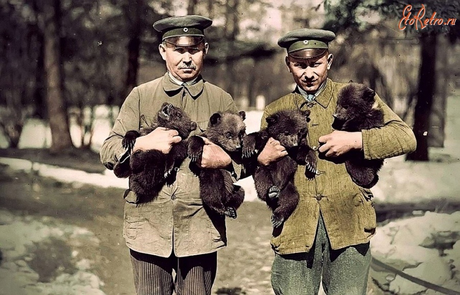 Калининград - Медвежата, родившиеся в Кёнигсбергском зоопарке в марте 1931 года (coloriert).