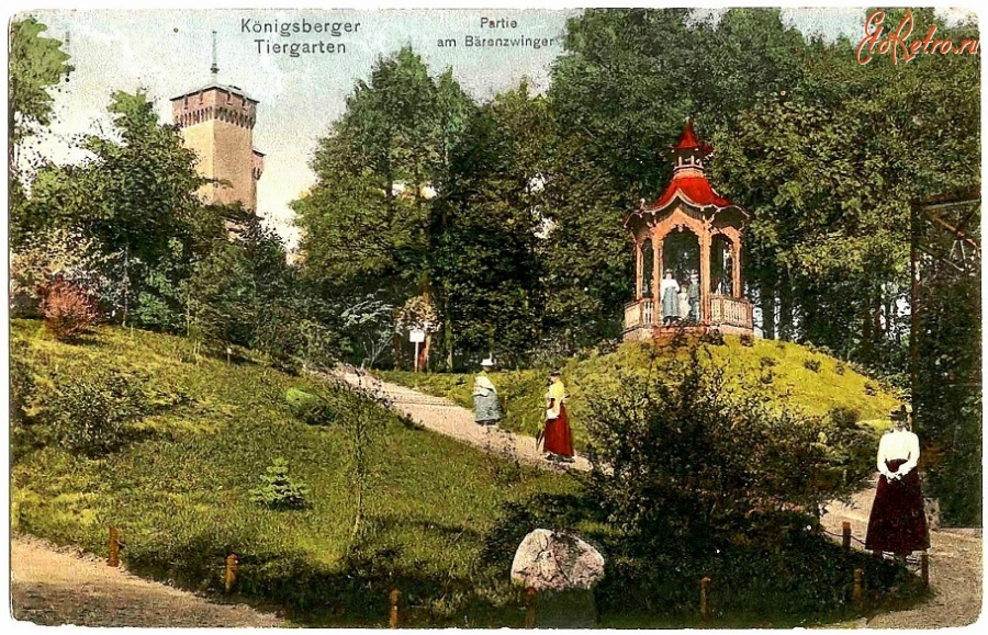 Калининград - Кёнигсберг. Зоопарк. На заднем плане смотровая башня.