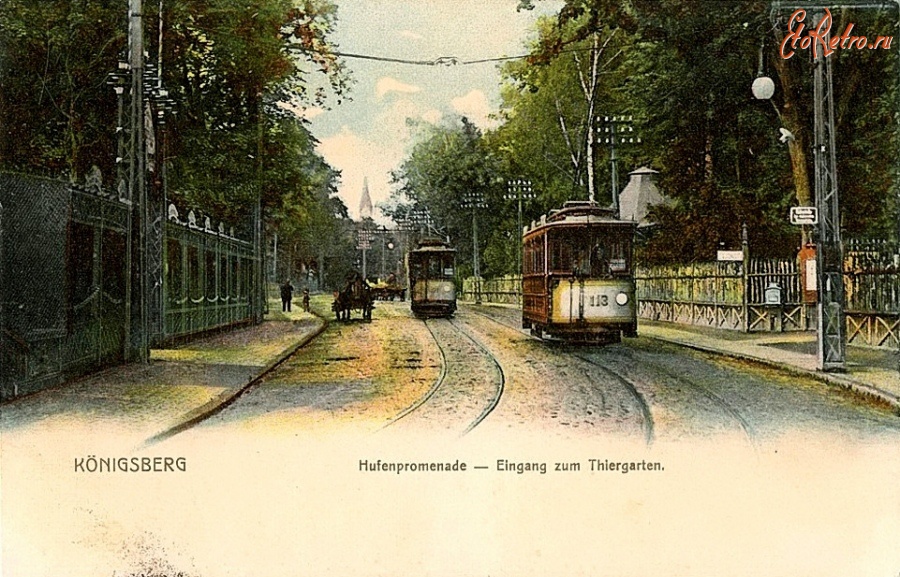 Калининград - Кёнигсберг. Трамваи на Хуфен аллее около входа в Кёнигсбергский зоопарк.