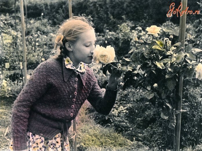Калининград - 1958 год. В розарии ботанического сада