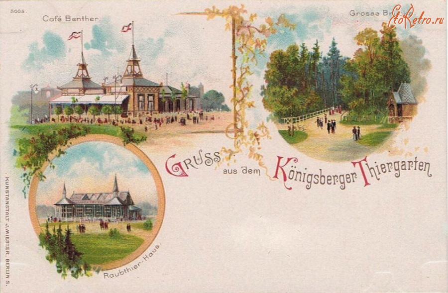 Калининград - Koenigsberg. Gruss aus dem Koenigsberger Thiergarten.
