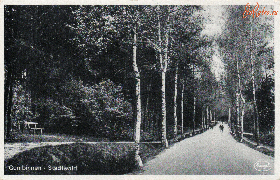 Гусев - Gumbinnen. Stadtwald.