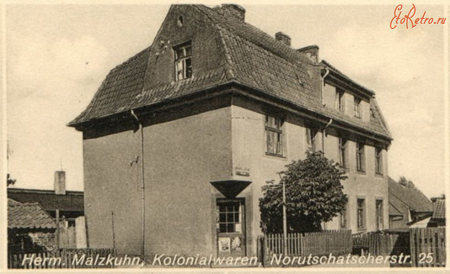 Гусев - Gumbinnen.  Norutschatscher Strasse 25, Herm. Malzkuhn, Kolonialwaren.