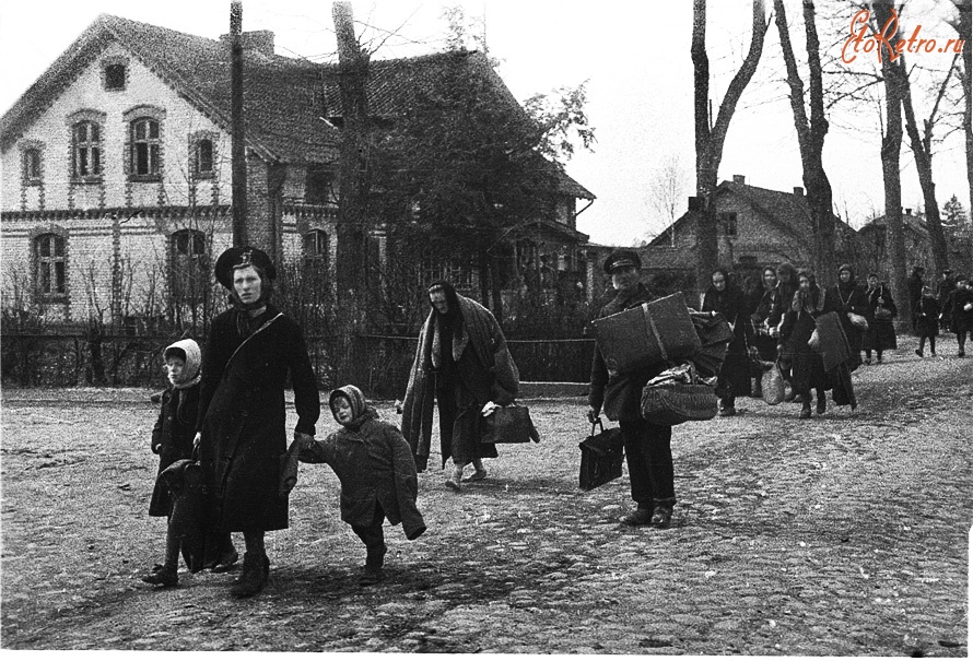 Зеленоградск - Немецкие беженцы. Восточная Пруссия, район Гранца (апрель, 1945)