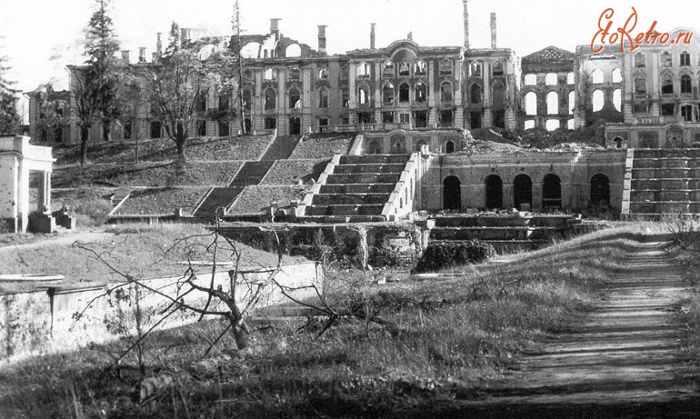 Ленинградская область - Вид на разрушенный немецко-фашистскими войсками Большой дворец ансамбля Нижнего парка Петергофа