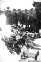 Гатчина - Злодеяния гитлеровцев. Гатчина, январь 1944 г.