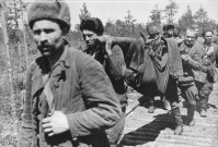 Волхов - Советские пленные несут своего раненого товарища на самодельных носилках