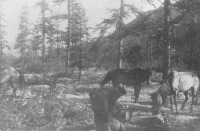 Магаданская область - Место привала геологов полевой партии научно-исследовательского отдела ГПУ. 1946