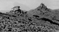 Магаданская область - Останцы серого гранита в районе озера Витачан-Нют. 10 августа 1946