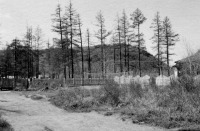 Усть-Омчуг - Волейбольная площадка. 1947-1950