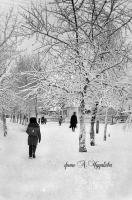 Шемышейка - Зимний день