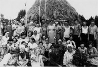 Шацк - Деревня Львовка. Жители деревни на заготовке сена.