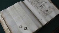 Разное - Следы кошачьих лап на итальянской рукописи,оставленные в 1445г.
