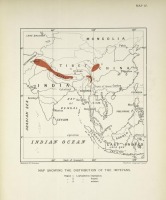 Разное - Карта обитания фазанов группы импеанов, 1918-1922