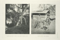 Разное - Бирма. Дом гибридов калиги, 1918-1922