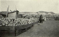 Вольск - Торговля арбузами у пристани