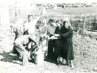 Новые Бурасы - Сельская свадьба, с. Новые Бурасы, 1955-1956гг.