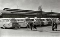 Ретро автомобили - Калининград. Стоянка автобусов «Ikarus 55» на автовозале возле Южного вокзала. Фото 1960-х годов.