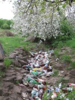 Луганск - Не смотря ни на что,яблоня вся в цвету.