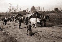Смоленская область - Возвращение жителей Руднянского р-на в родные места
