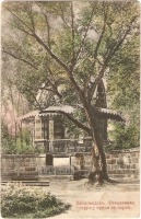 Кисловодск - Стеклянная струя у пруда в парке, в цвете